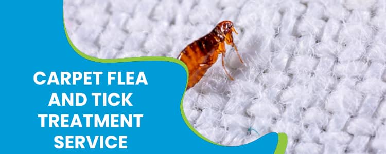Carpet Flea and Tick Treatment Service