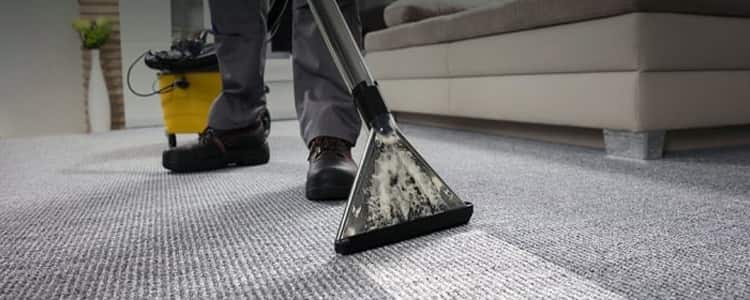  Best End Of Lease Carpet Cleaning Red Hill