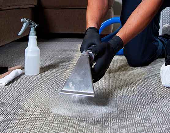 Carpet Cleaning in Red Hill